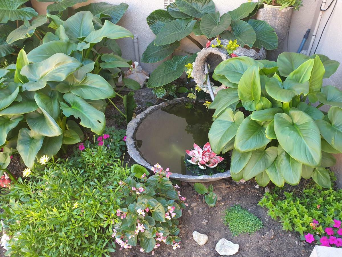 Dilisca Guesthouse Durbanville Buitenkant foto